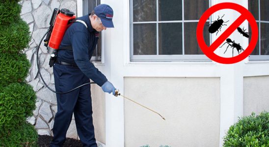 Eleşkirt Böcek İlaçlama böcek ilaçlama ve haşere kontrolü — ilaclama-tr.com